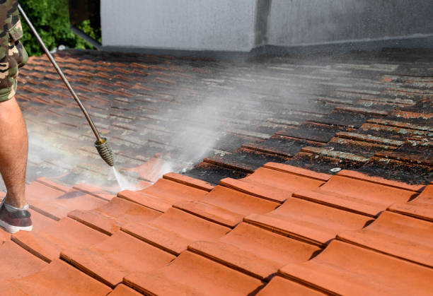 Best Concrete Pressure Washing  in Vienna, GA